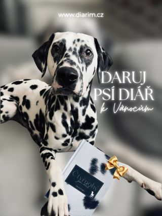 🎁 Tip na vánoční dárek pro všechny pejskaře! 🐾 Pro páníčka a jeho věrného psího parťáka jsem vytvořila psí diář – místo,...